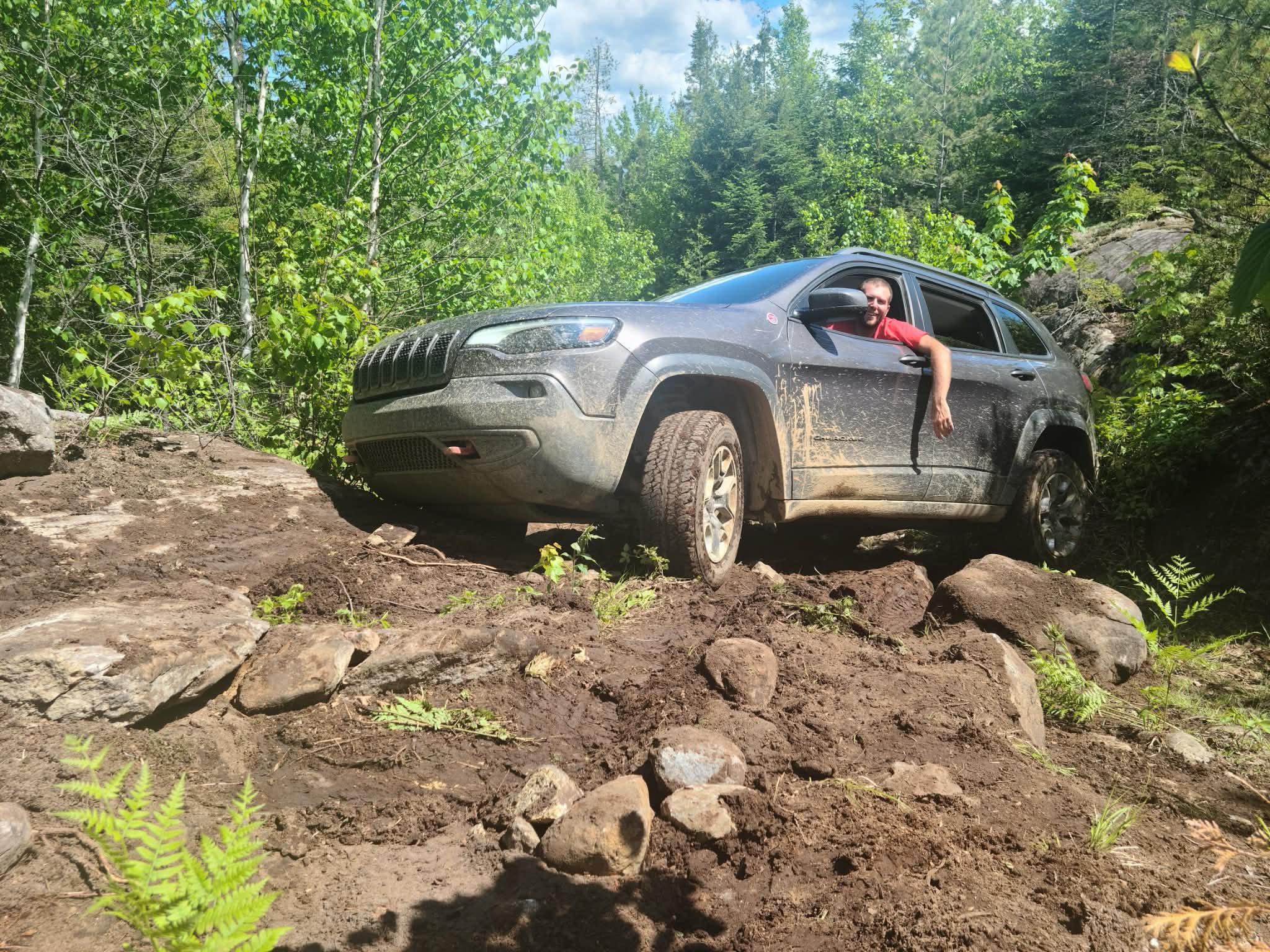 Aventure en forêt