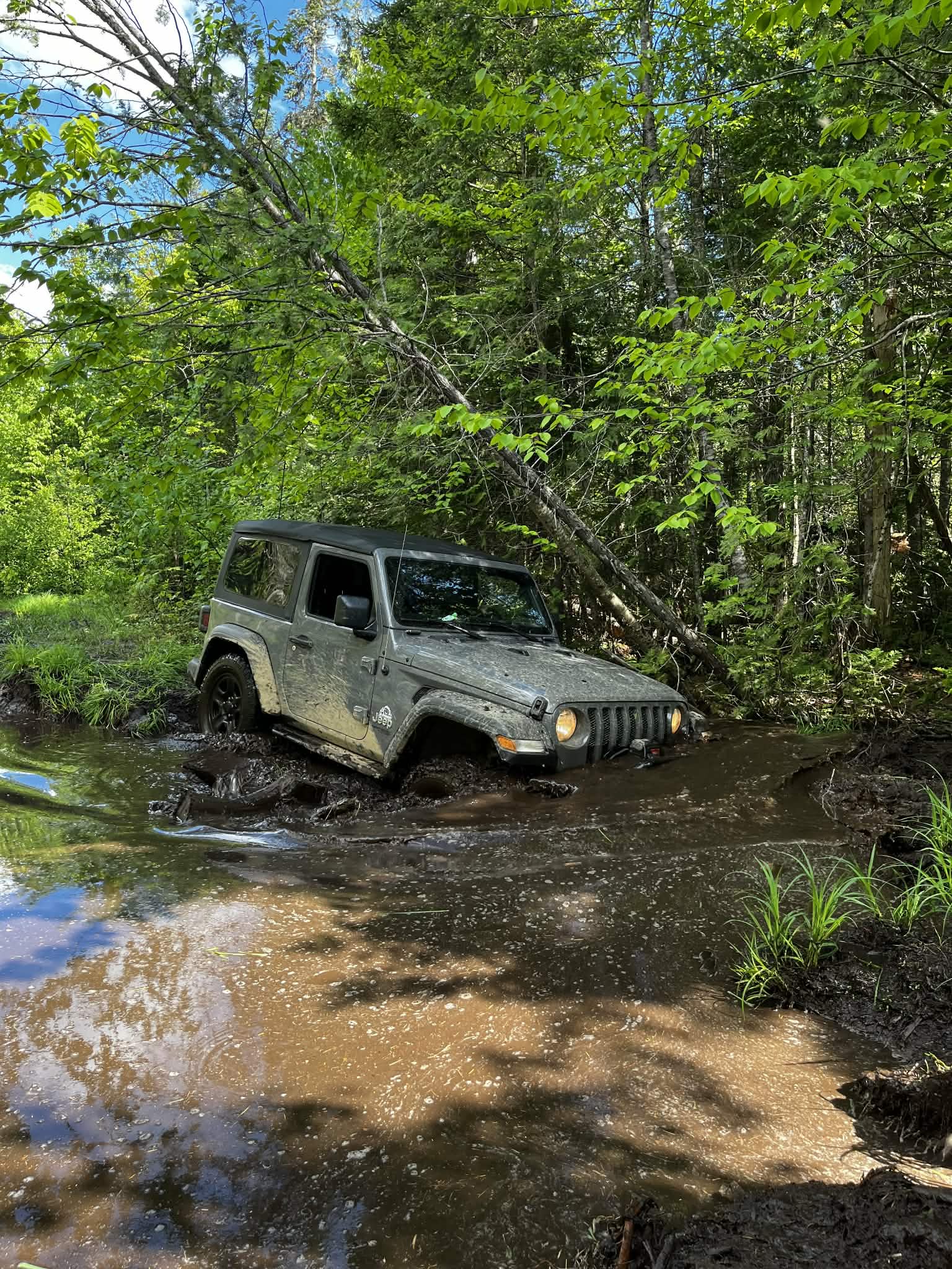 Aventure en forêt